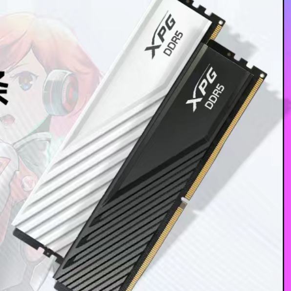 ƴڲ:XPG 16G DDR5 6000̨ʽڴʿM-DIE305Ԫʣ16*2ּ589Ԫ