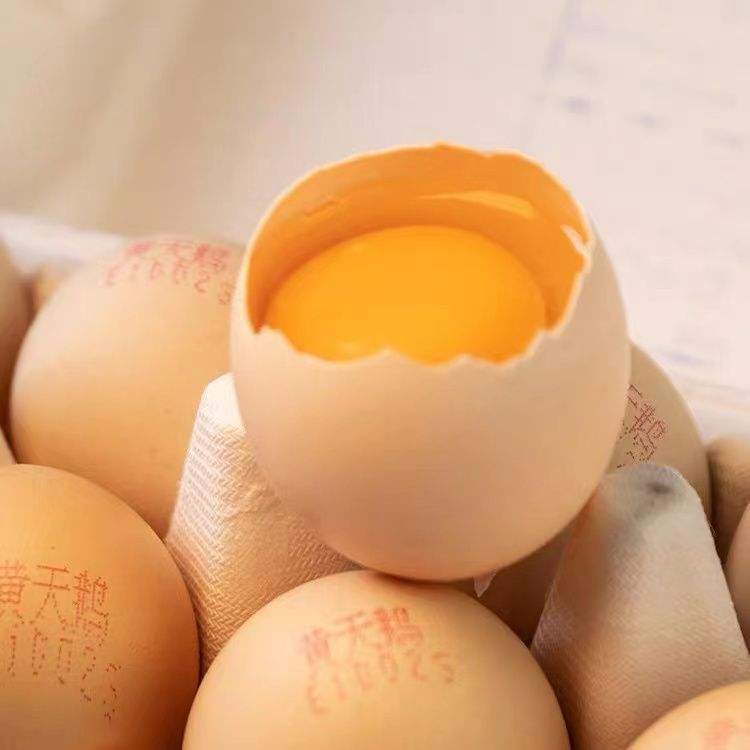 켦 18öװ ʳ޾ M-ʳ39.9Ԫ