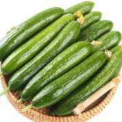 plusԱ:ɽˮƹ ߲ 4.5 60g+ Դͷֱ12.77Ԫ