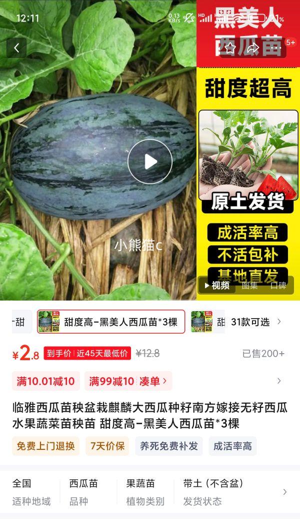 ����ȯ������ ������������*3���Ż�֤��