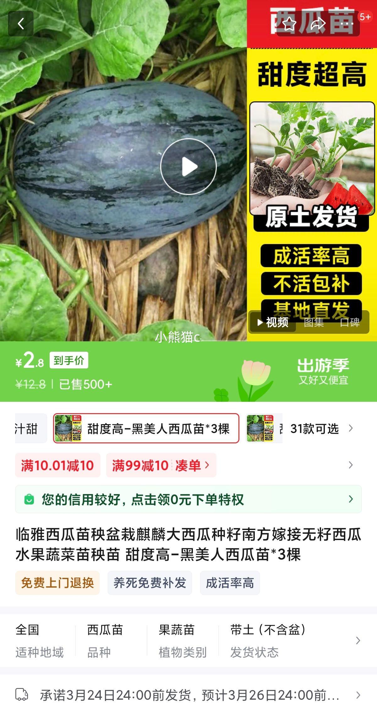 ���� ������������*3���Ż�֤��