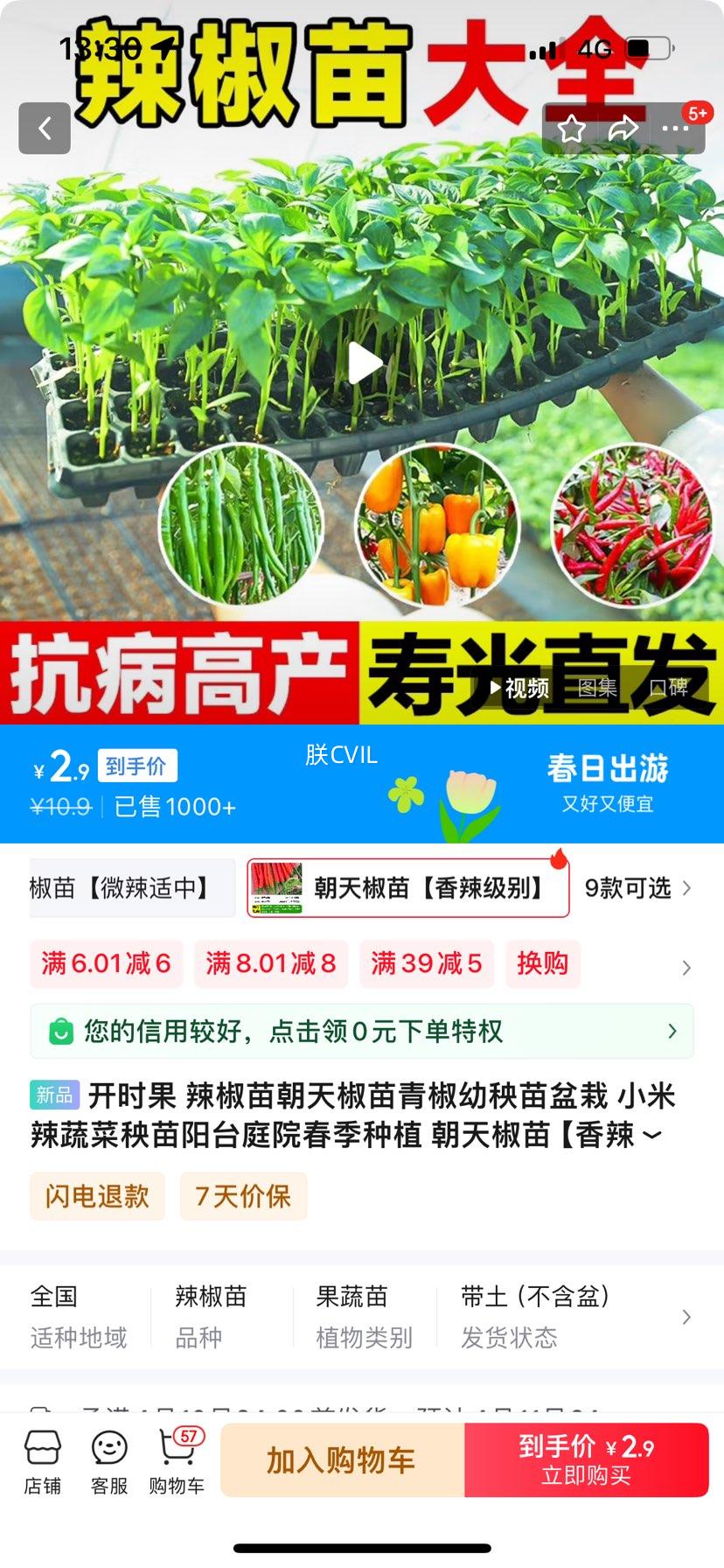 ��ʱ�� �����糯�콷���ཷ���������� С�����߲�������̨ͥԺ������ֲ ���콷�硾�������� 6���Ż�֤��