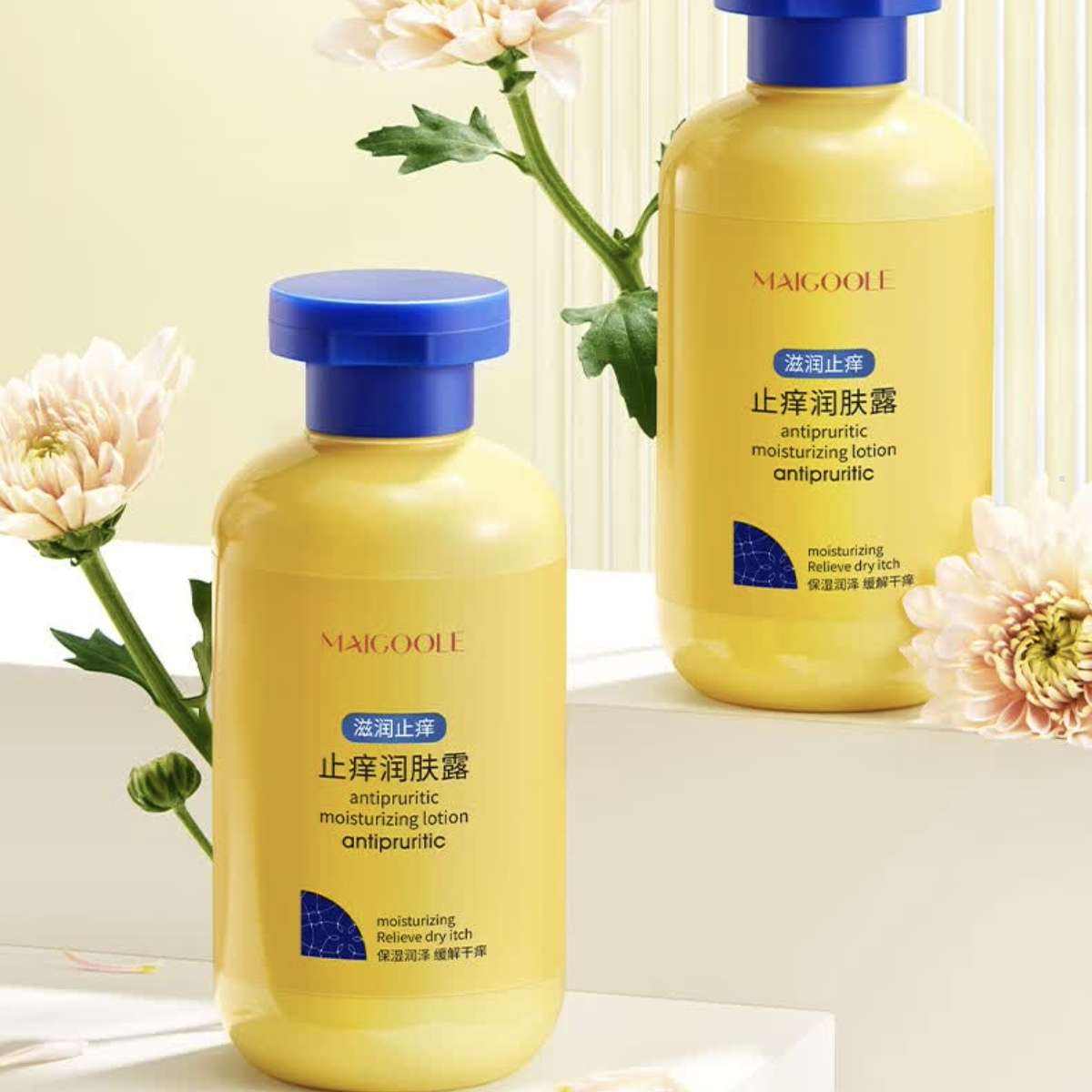 plusڲBEAUTY NOTESֹ¶ʪȥʸƼƤ ŮҺ26.1Ԫȯ