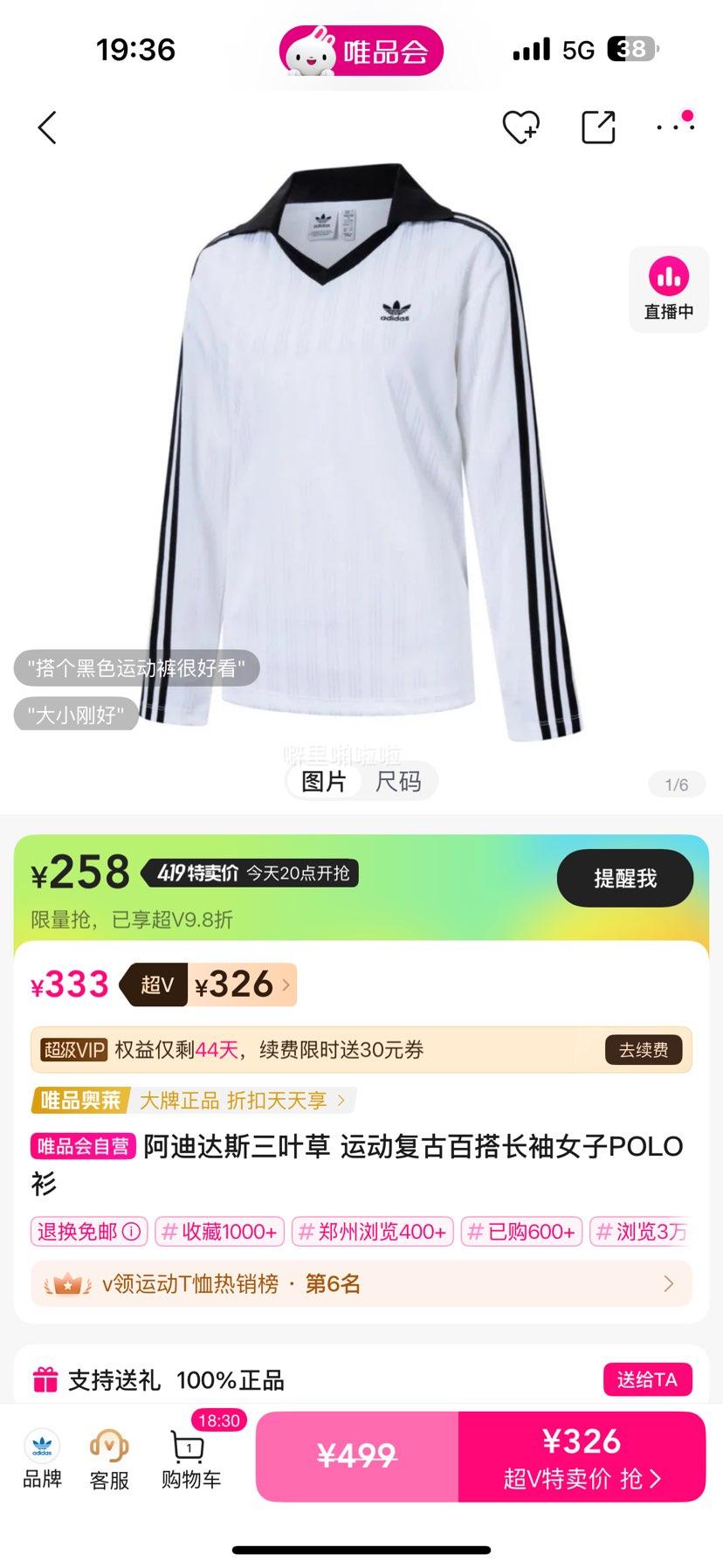 ���ϴ�˹��Ҷ�� ����Ů��POLO���Ż�֤��