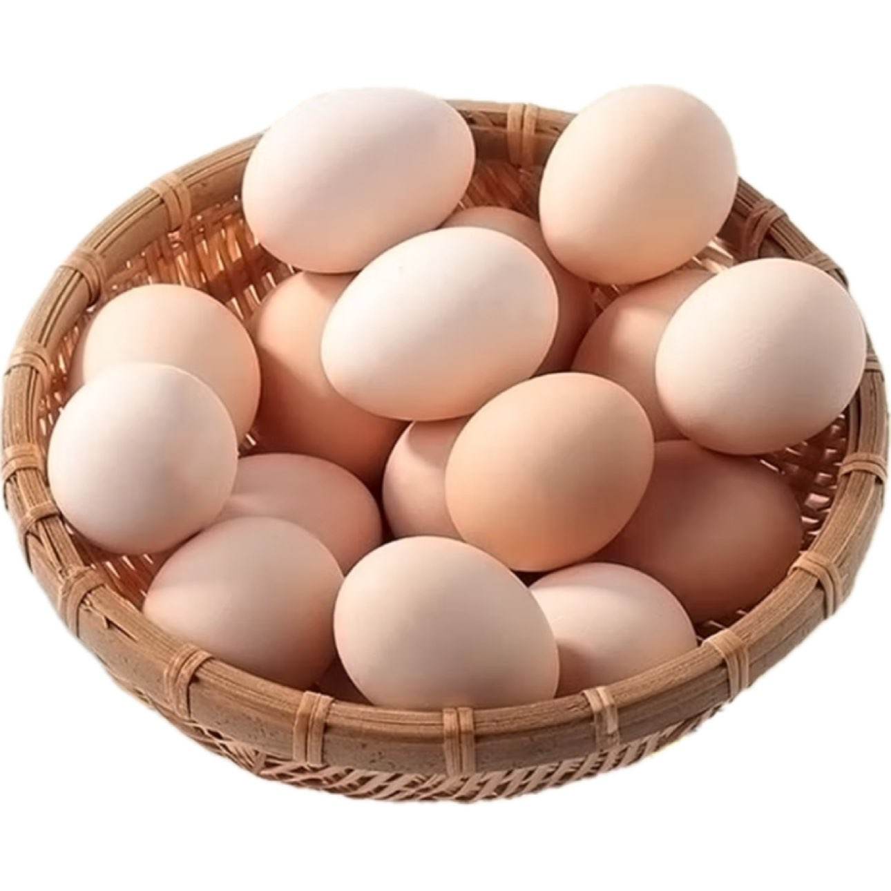  ʼ񼦵 ö405g 20ö9.9Ԫȯ