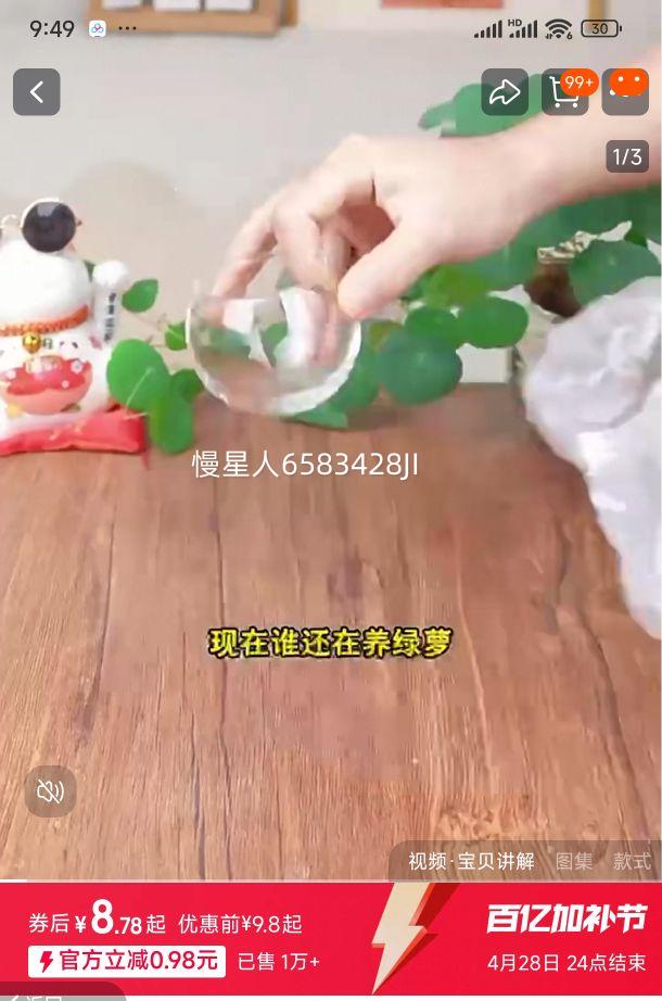 ɽ�ڹ�����ֲ��ˮ��һҶ���Ҷ���Ժ�����������������ֲ�ļ������Ż�֤��