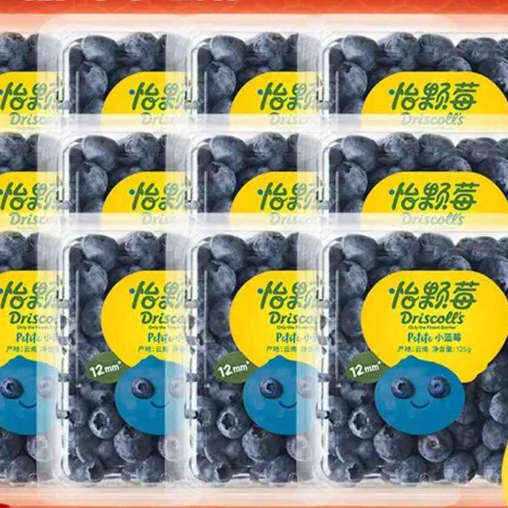 ݮ ϵݮ С125g*12У12mm+74.9Ԫȯ