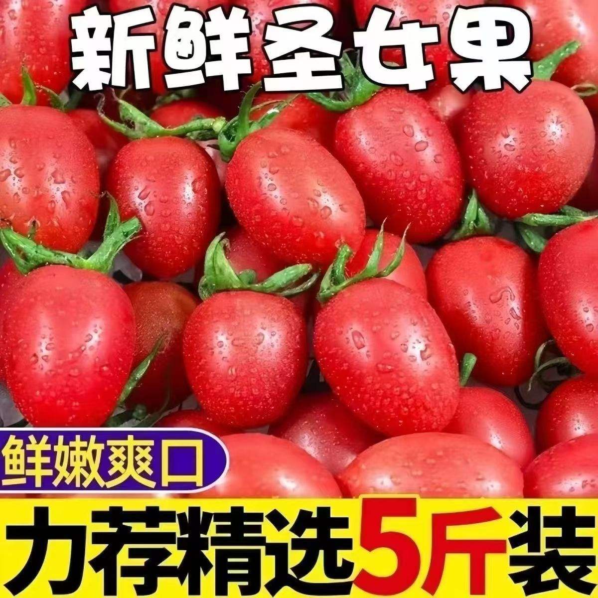 ʥŮСӣҷ11.25Ԫ