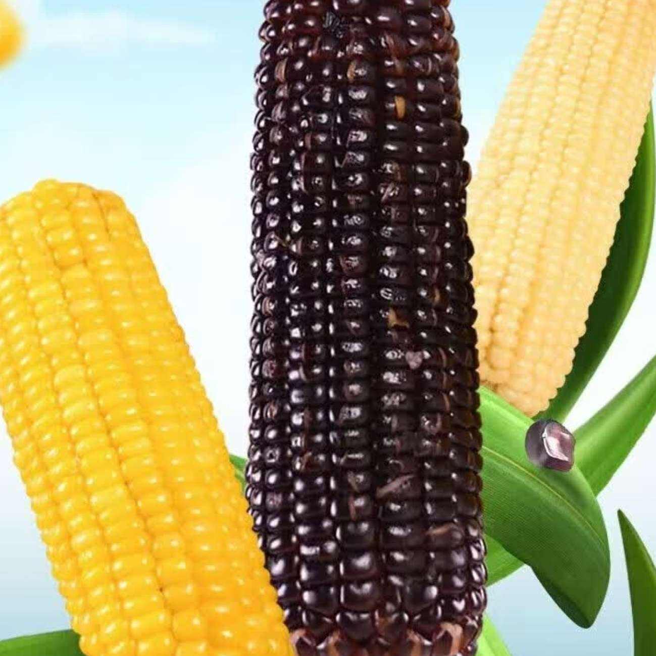 ʱʳ׻ƽŴŴŴ׶ Ŵ8*180g/װ14.9Ԫȯ