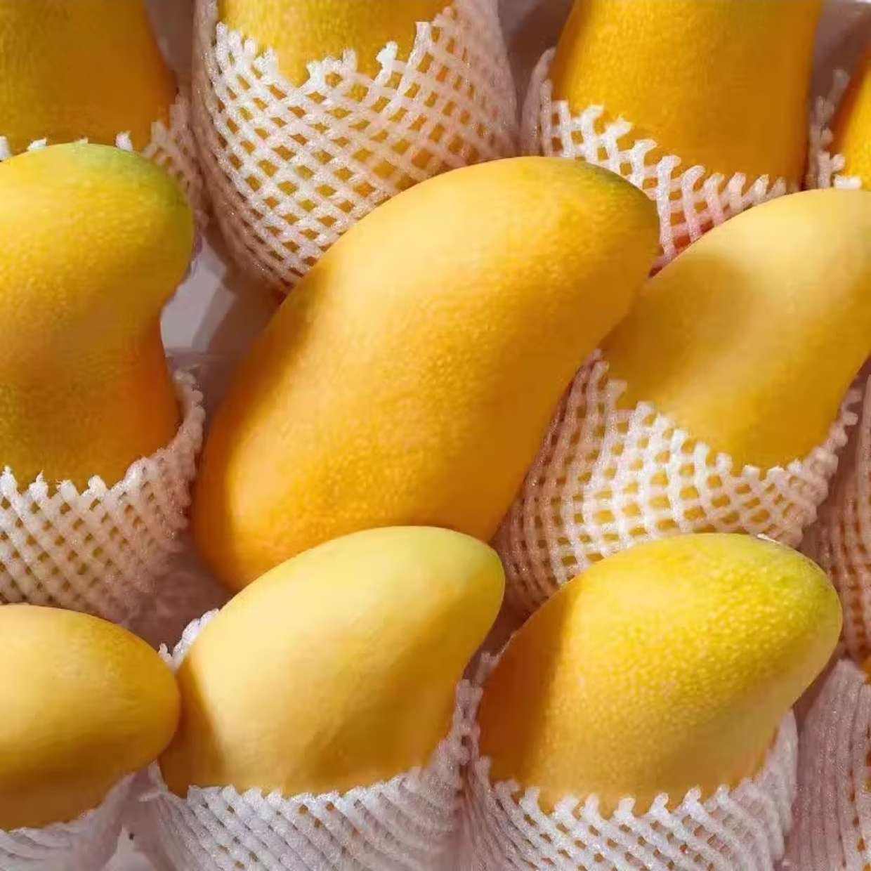 ٽۡ΢СС߹ ڽâ 4 ްԹ16.8Ԫ