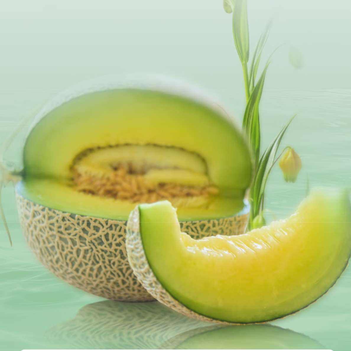 Ũʺõ۹ϵˮõ۹ 1.5-23.9Ԫ