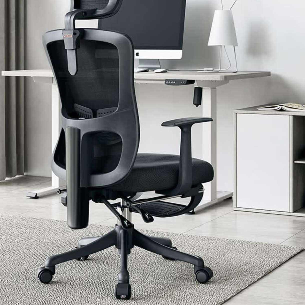 ޵plus:M39 幤ѧμõӿɰ칫 羺ת ѧϰ +̶+α293.25Ԫȯ