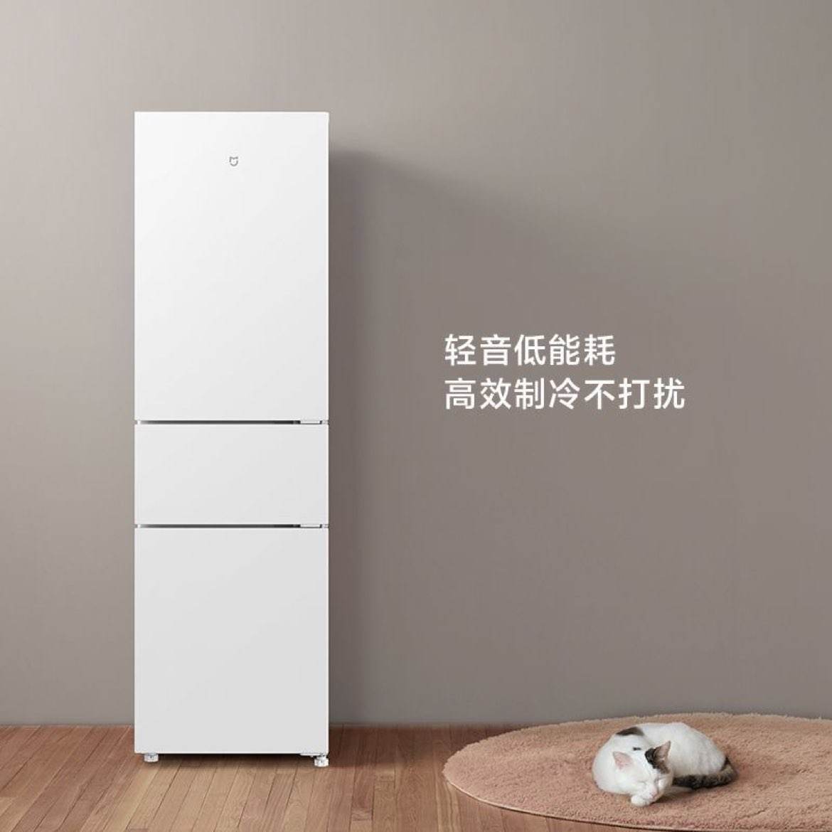 Сױ׼206żʡС677.03Ԫʣȯջʸ)