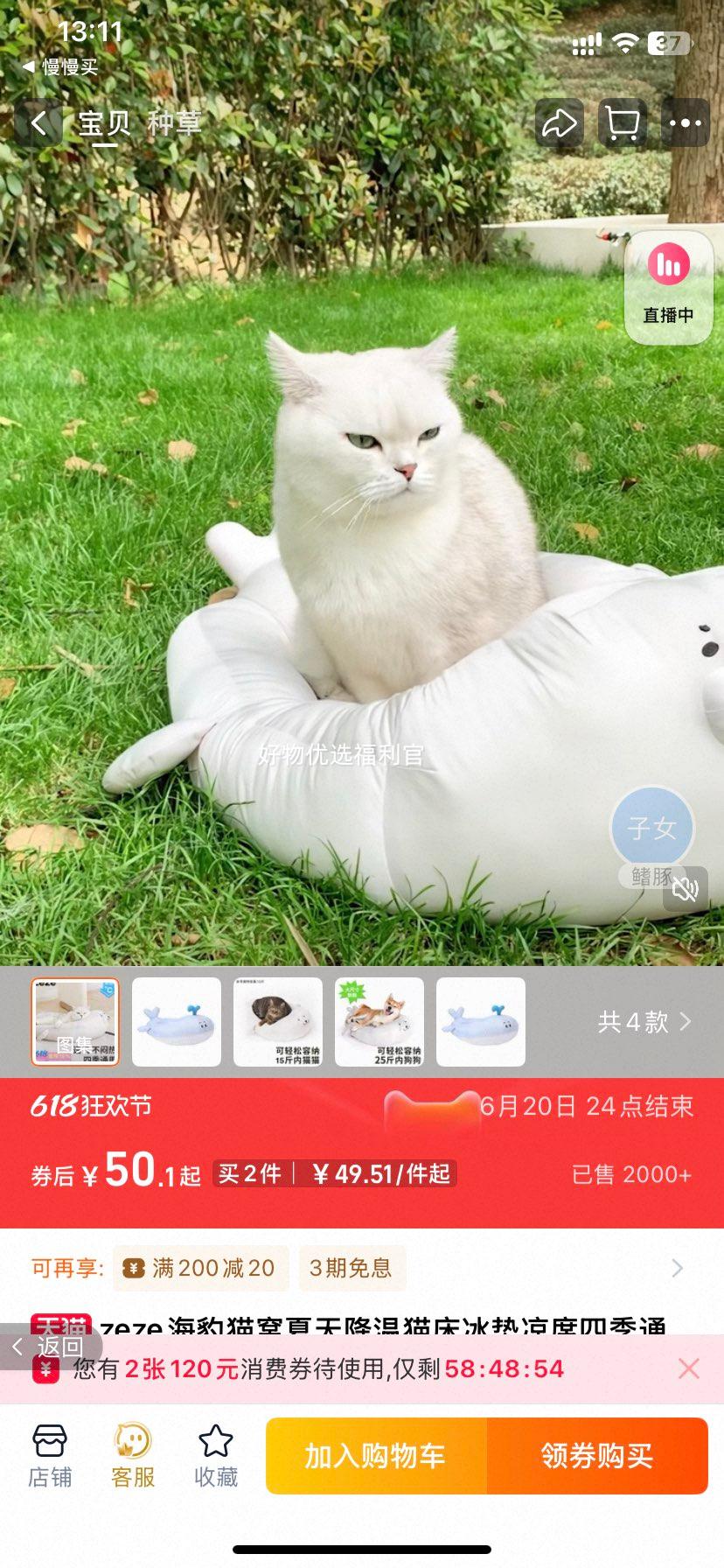 zeze��ʨ����è�Ѷ�ë��ͨ���Ż�֤��