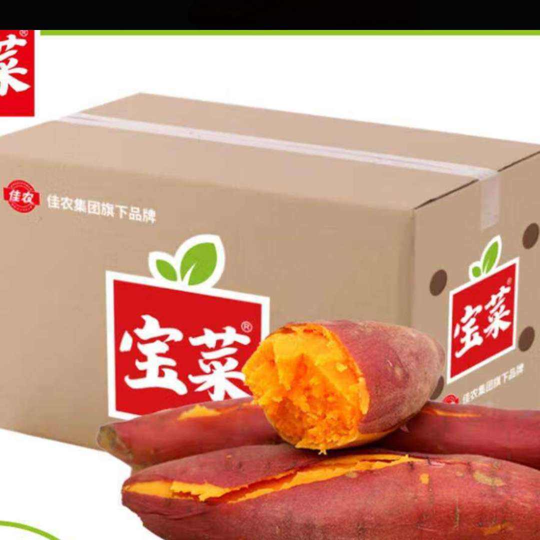 plus会员:佳农宝菜兰考蜜薯香甜可口单果约100g+地瓜净重4.5斤装番薯源头直发