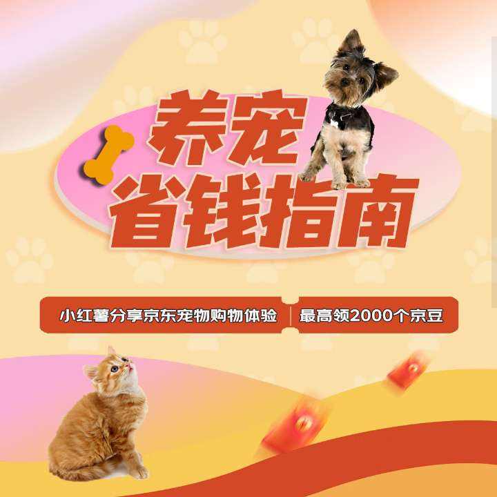 ë ʡǮָ ﹺ ߿2000ʵ