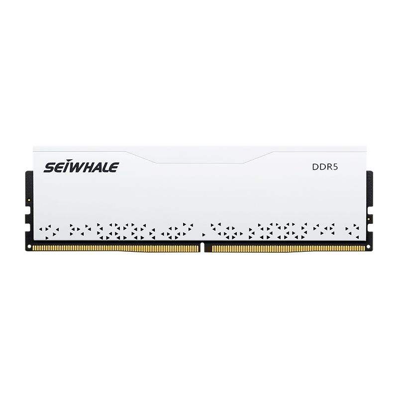 ɾ  ڴ DDR5 16GB 4800175Ԫȯ