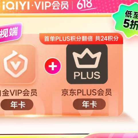 հ׽VIPԱ꿨+PLUS꿨 ֵ֧Ӷ249Ԫȯ