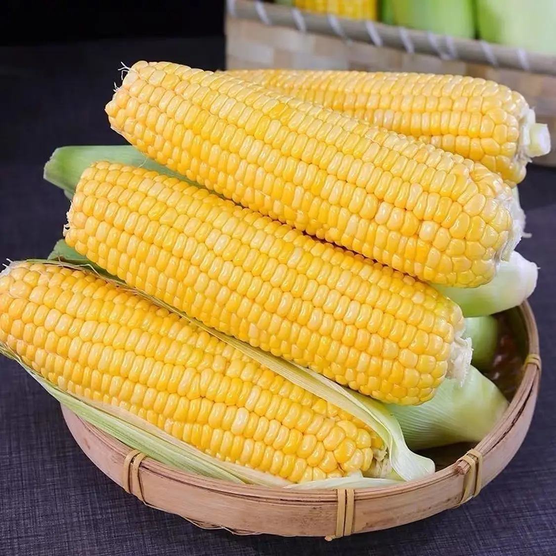 Ͻˮ Եı˫ɫ 5ﾻ 5-913.9Ԫ