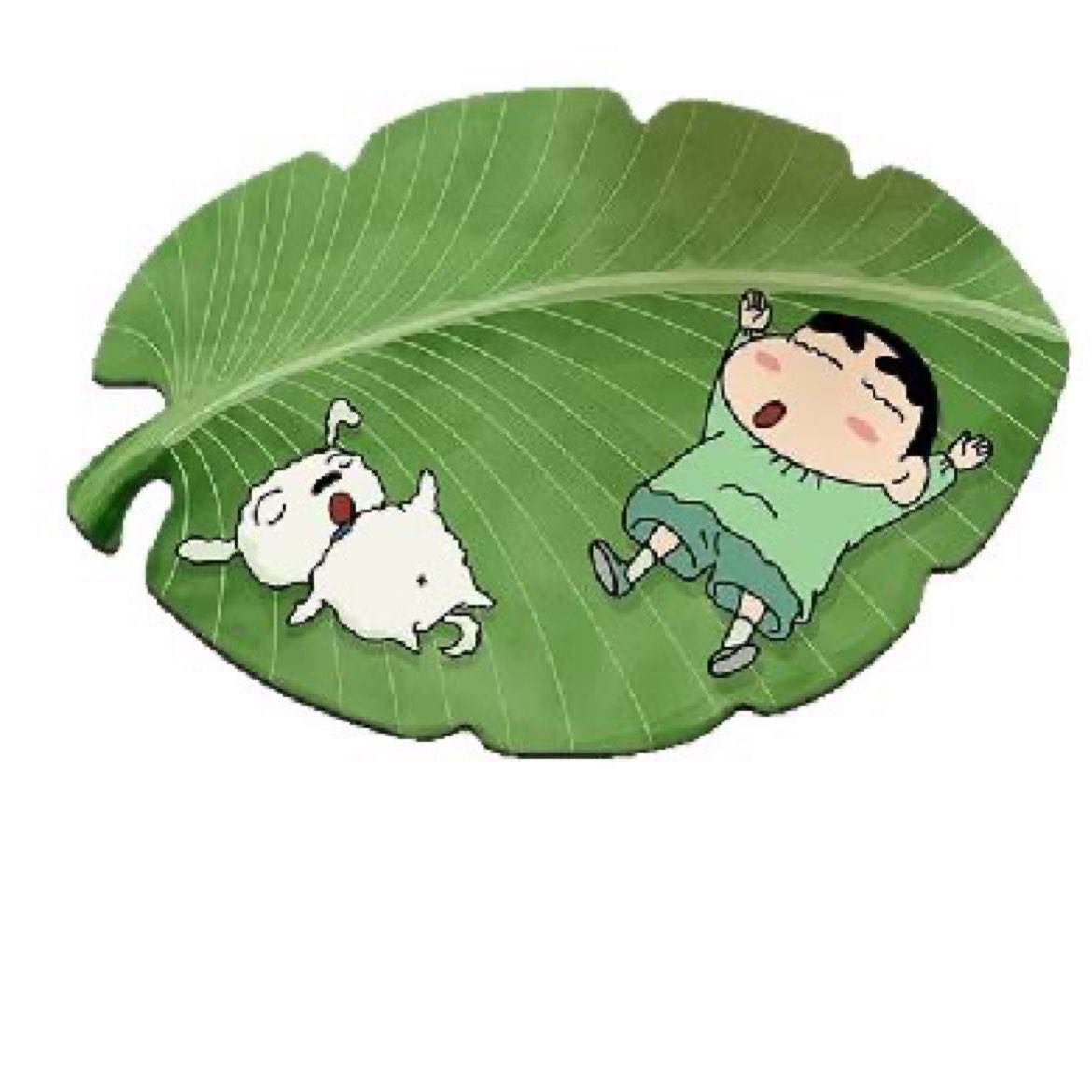  ŵ 40*60cm2.5mm18.8Ԫ9.4Ԫ/