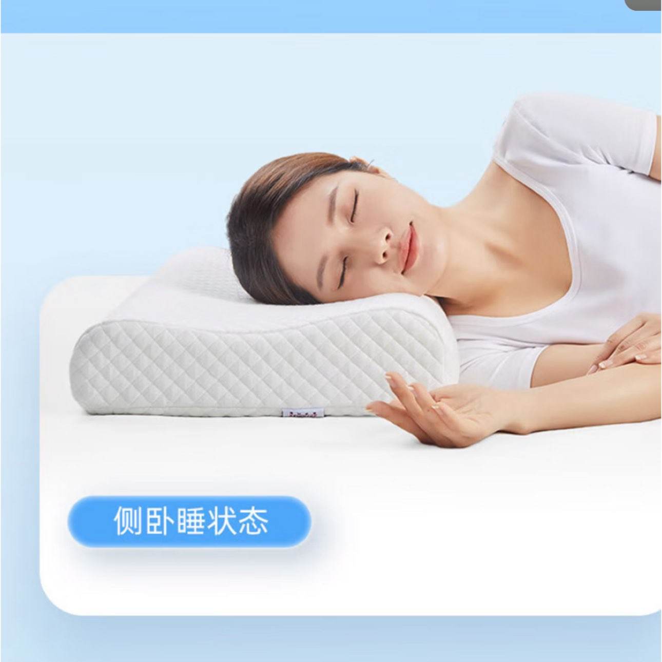 ޱͷ˯о׵ͷ˯ר ΰٺ 30*50cm74.5Ԫȯ