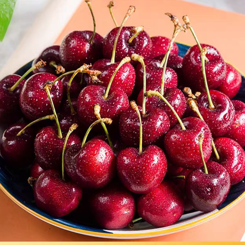 ѡ ڳ 4J 2.5kgԭװ 32-34mm 173.17Ԫ+16.78ԪԽ