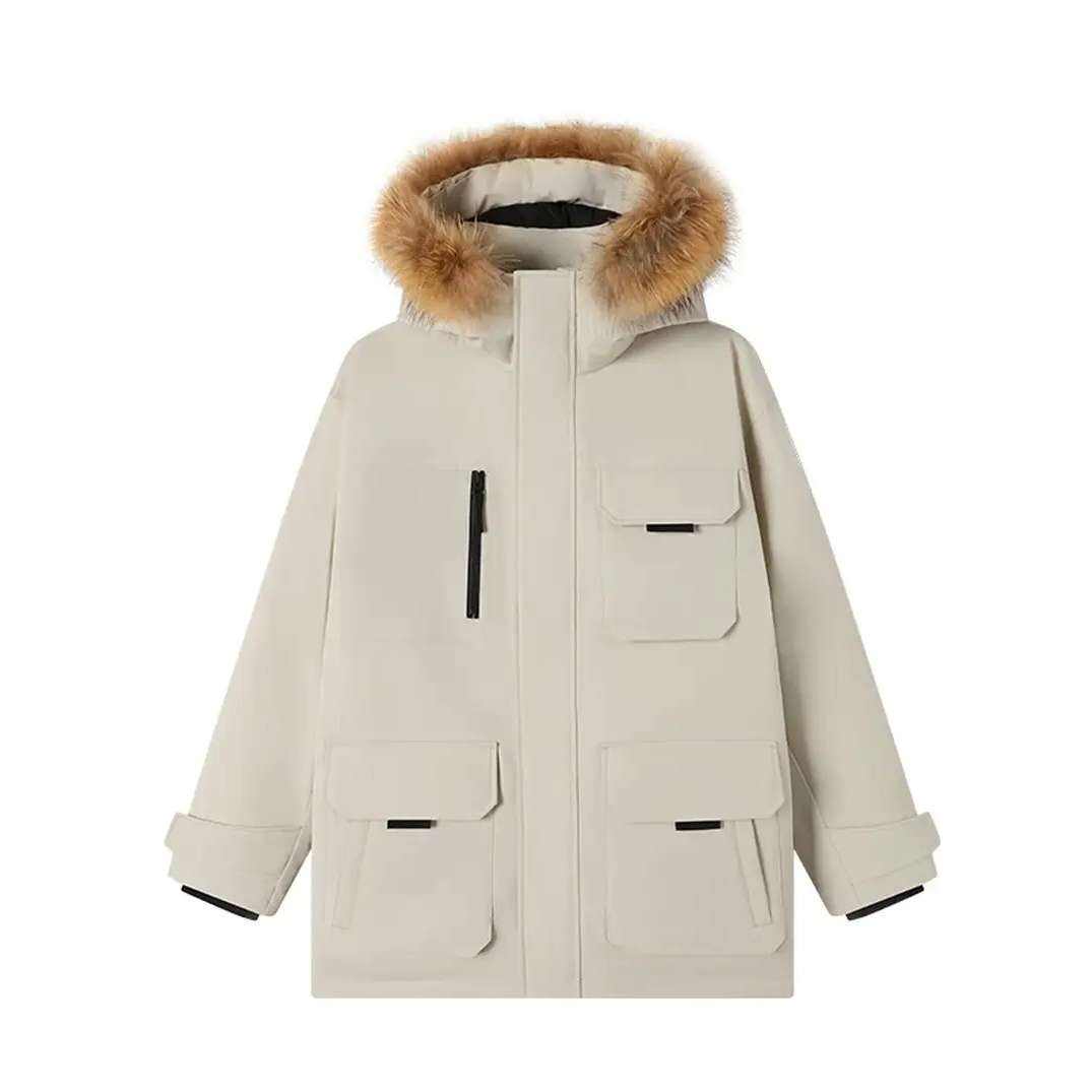 plus��Ա���������� ���ڼ���95���޷� 699Ԫ������