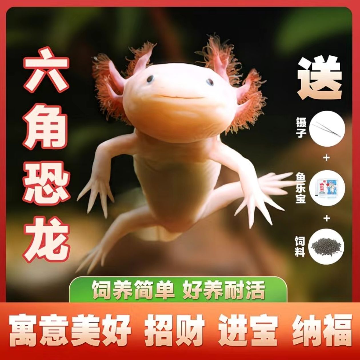 ����������ǿ������������� 2.7Ԫ(������۾�)