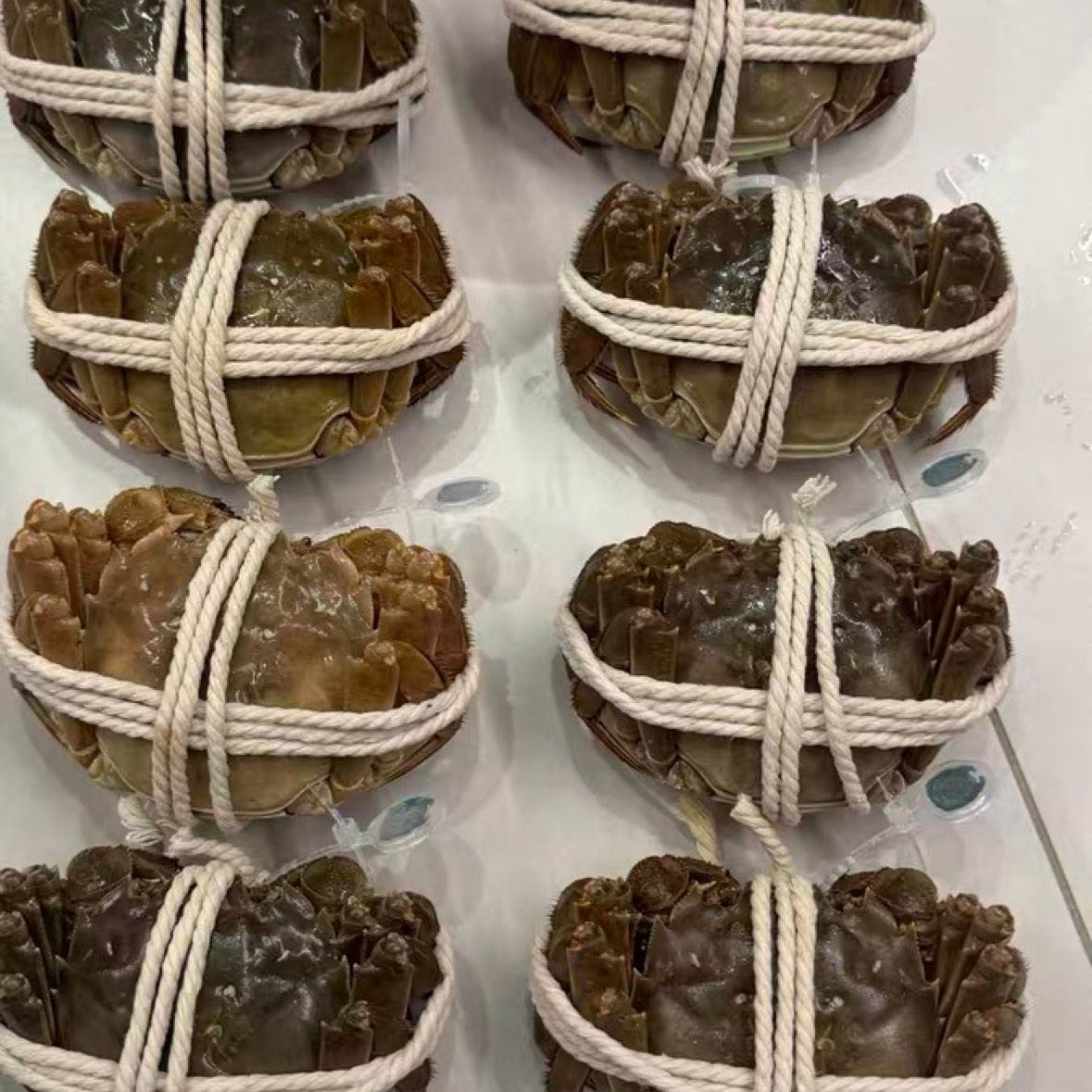 ���ݺ� ��բз ��4��-4.3��ĸ3��-3.3�� 8ֻ��з �＾���װ ��ĸ��� ��������89.4Ԫ   ��ʳ���150��20Ԫ   ���ż����43Ԫ     �����Խ��47.88Ԫ   ʵ��198.72Ԫ