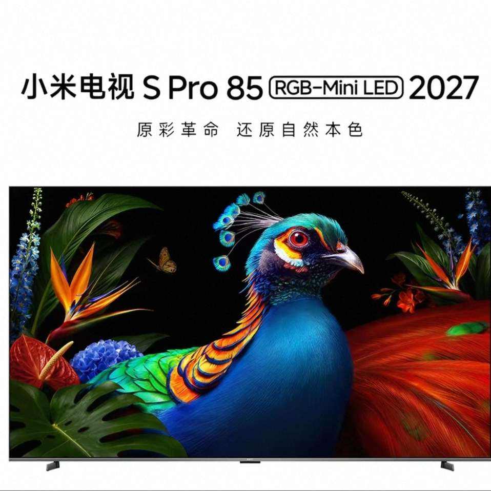 С�׵���S Pro 85Ӣ�� RGB-Mini LED 20277036.79Ԫ+99Ԫ�Խ��