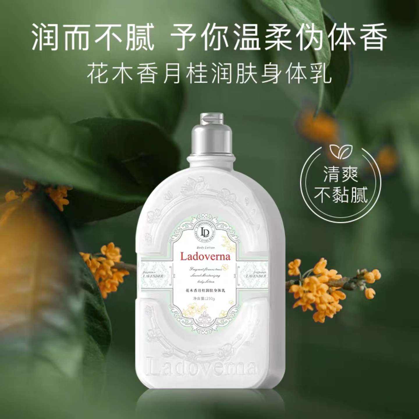 Ladoverna黤˪Ů屣ʪļͨˬ¶*250ml29.9Ԫȯ14.95Ԫ/