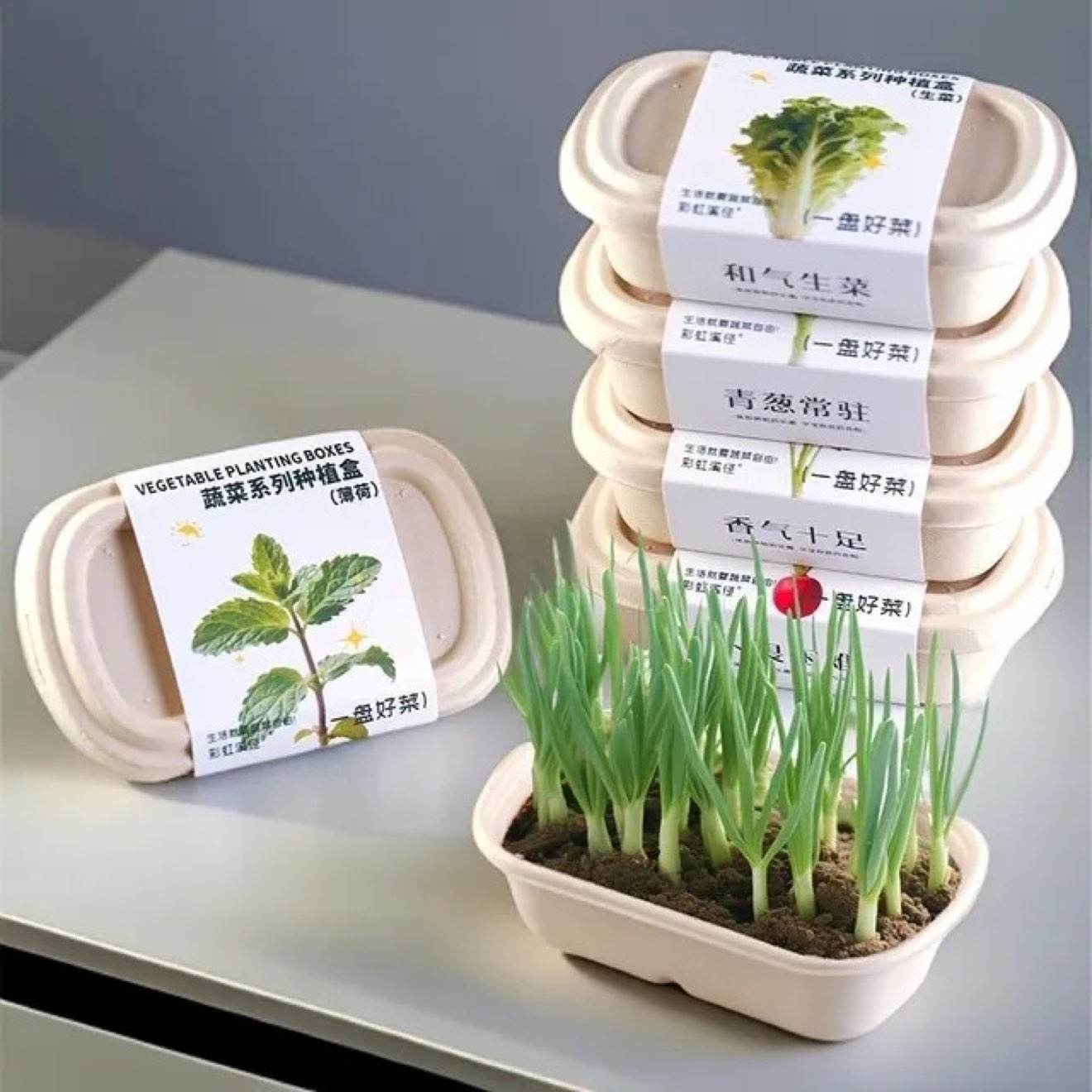 С��ũ ��ͯ�߲˻���ֲ�������۲�ʵ����װ���*2�� 7.9Ԫ/������15.8Ԫ��