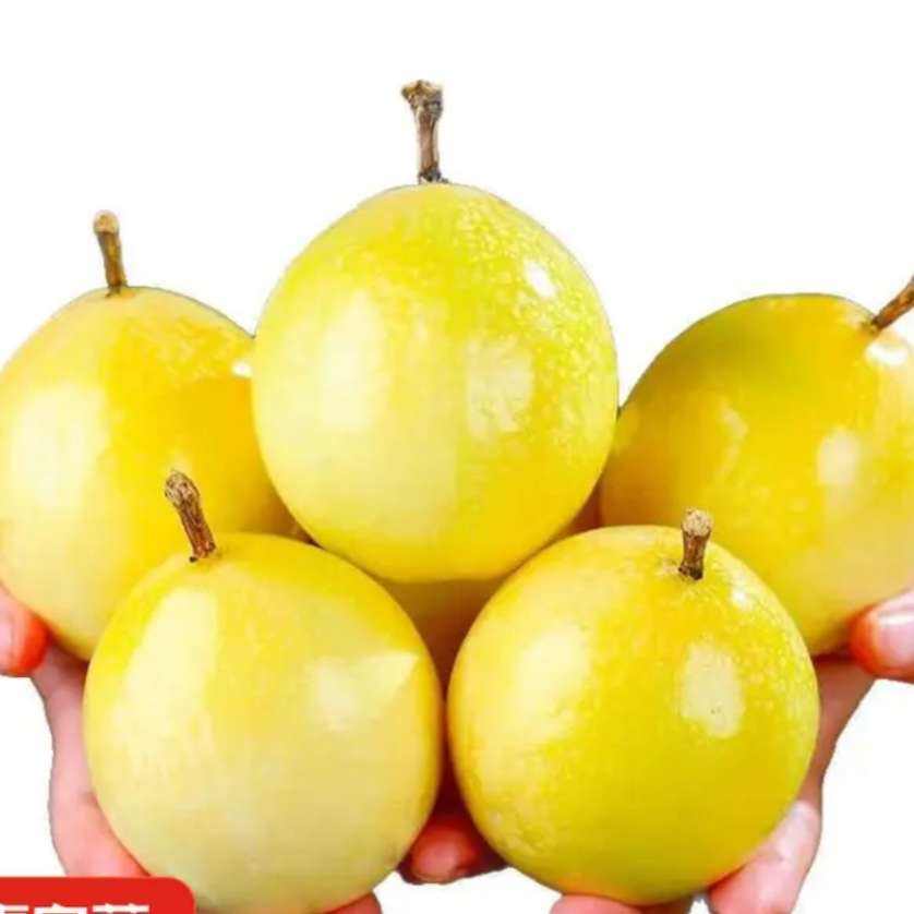  9Żƽ5װԳƼ0.95Ԫȯ