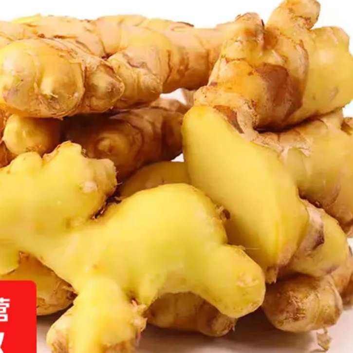 С�������ʹ���������С�ƽ� ����500g 1.6Ԫ(����ȯ)