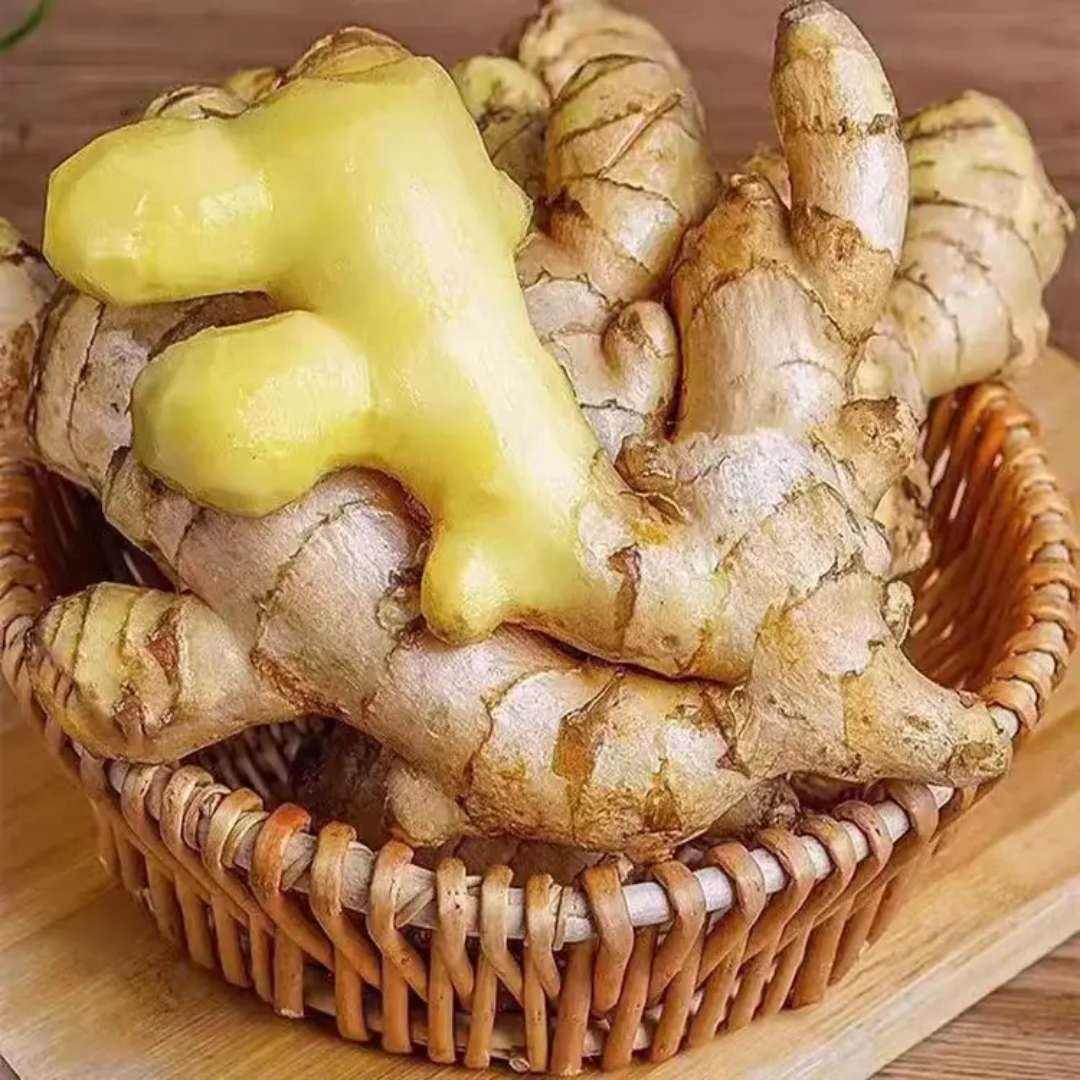 С����ɽ�������Ͻ��ƽ� ����2�� 2.55Ԫ(����ȯ)