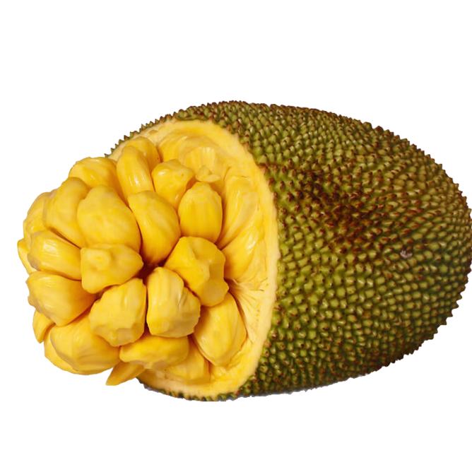 ��ҵ�� ���ǻ��Ⲥ���� ��ժ�ַ� 20-25�� 62.9Ԫ(����ȯ)