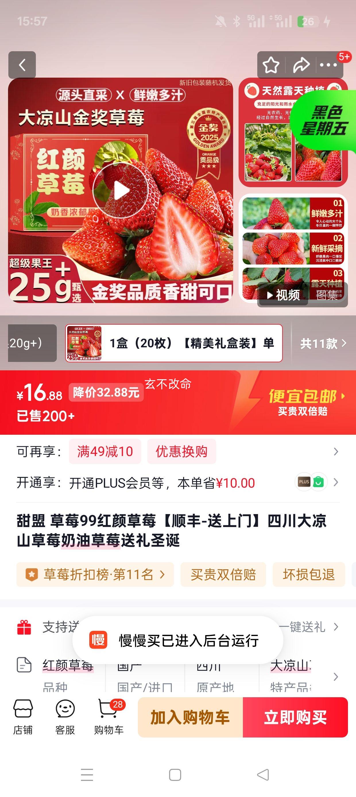 ���� ��ݮ99���ղ�ݮ 1�У�20ö������13g+ �������װ ˳���������Ż�֤��