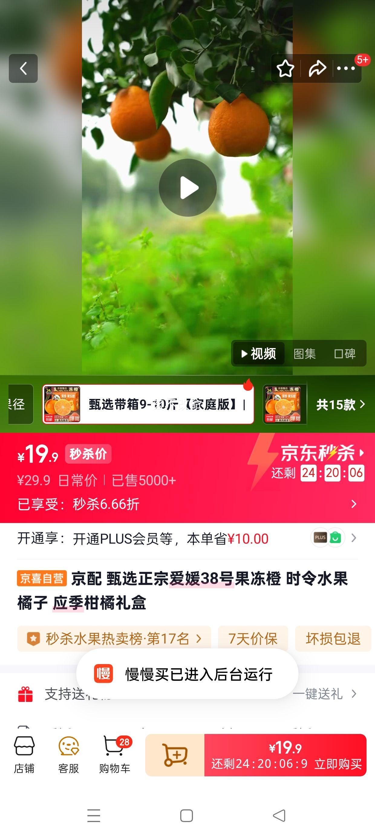 ���� ����38�Ź����� ʱ�������� ����9-10�� ����60-70mm ��ͥ�� JD��ݵ��췢�Ż�֤��