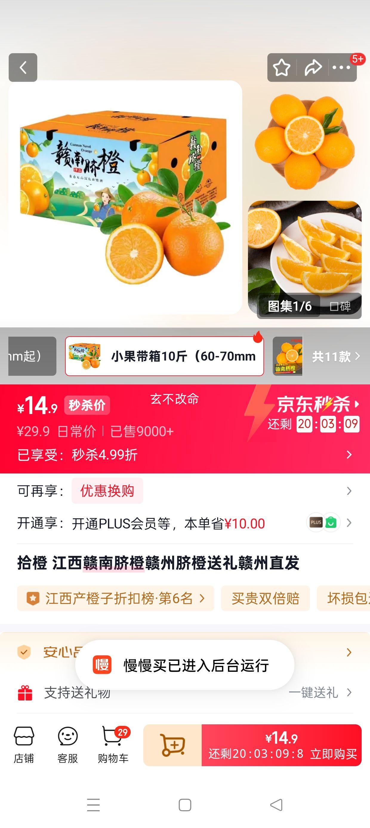 ʰ�� ������� ����ֱ�� С������10�� 60-70mm�Ż�֤��