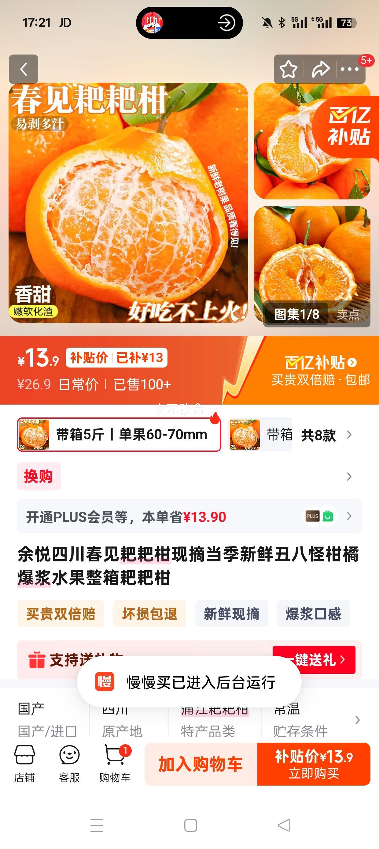 ���� �Ĵ������ҰҸ� ��ժ�������ʳ�˹ָ��� ����ˮ�� �������5�� ����60-70mm ��4.5�� ��ѡװ�Ż�֤��