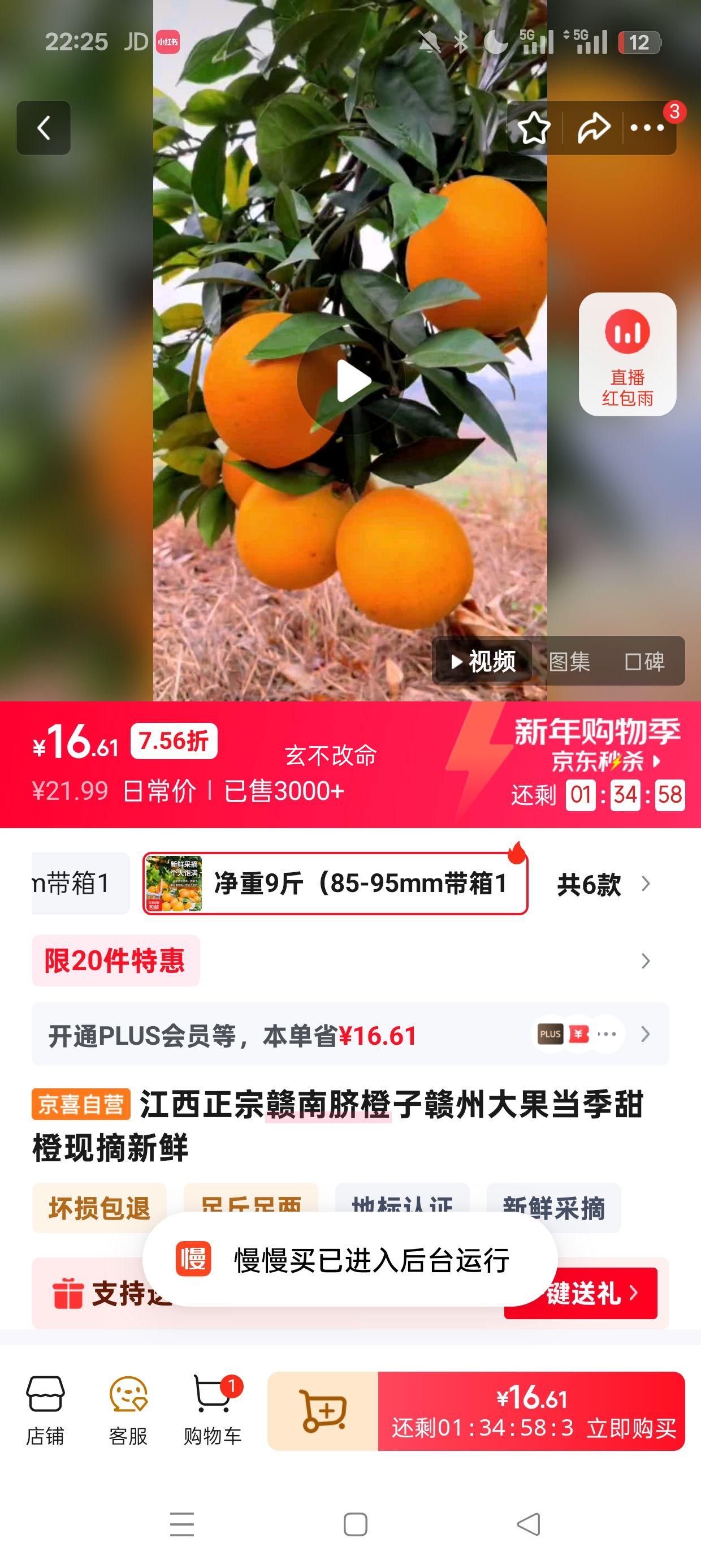 ����������� ���ݴ�� ������ժ���� ����9�85-95mm����10��Ż�֤��