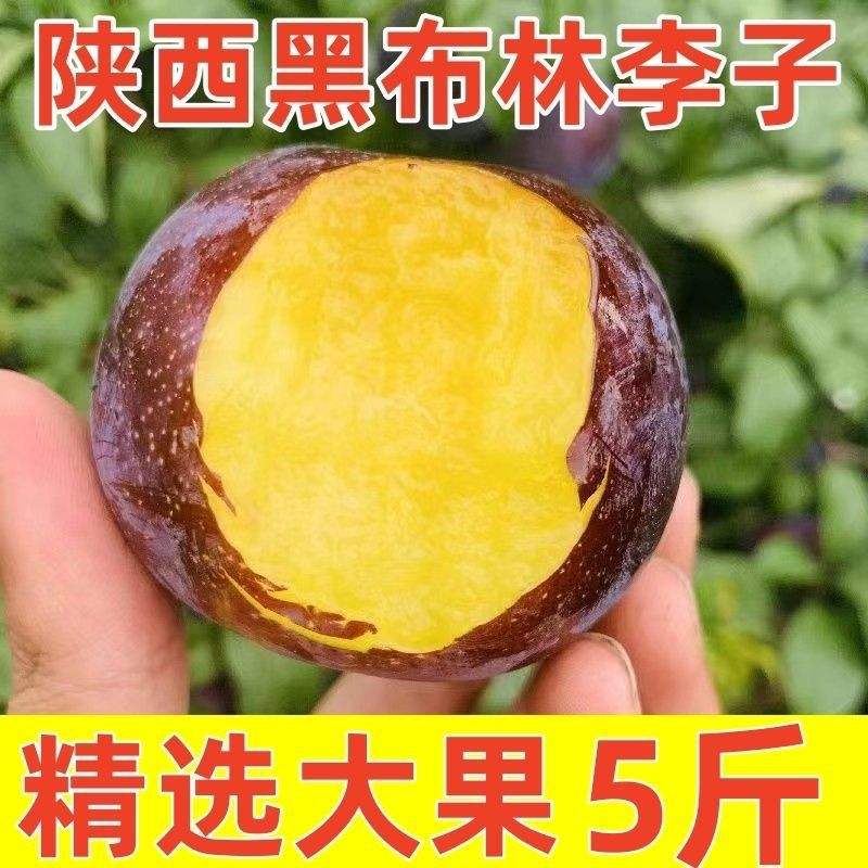 ڲִӣƷ11.6Ԫ 