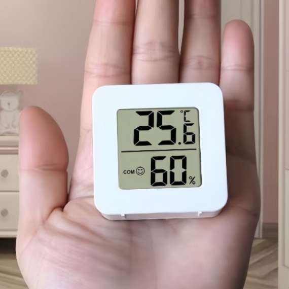 ߾׼ʪ1ֻ