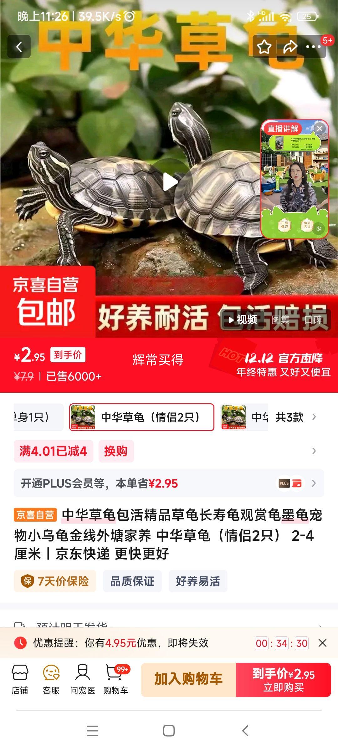 �л��ݹ꣨����2ֻ�� 2-4�����Ż�֤��