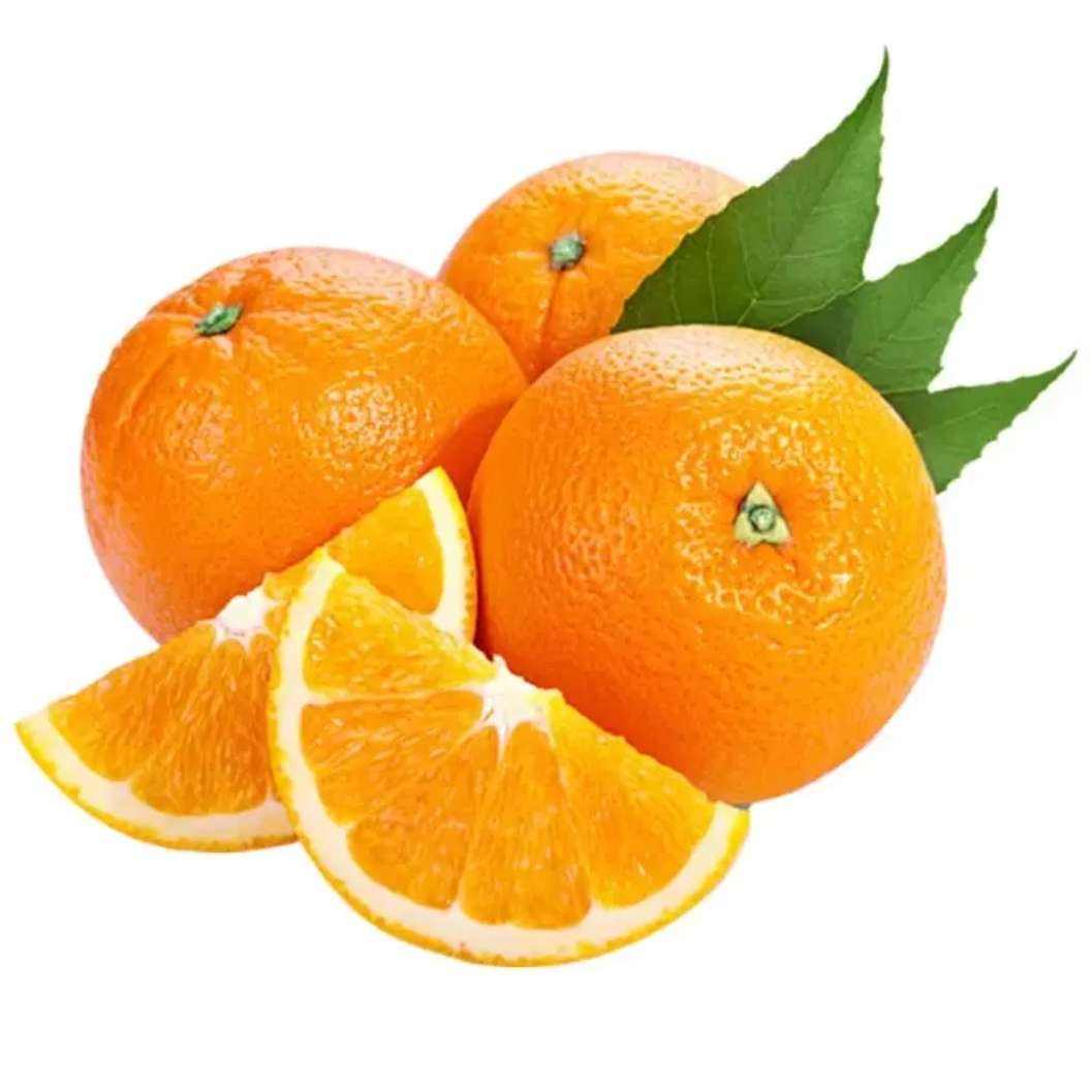 ����� ���ڸ�����ȷ��۳� 10�� 11.8Ԫ