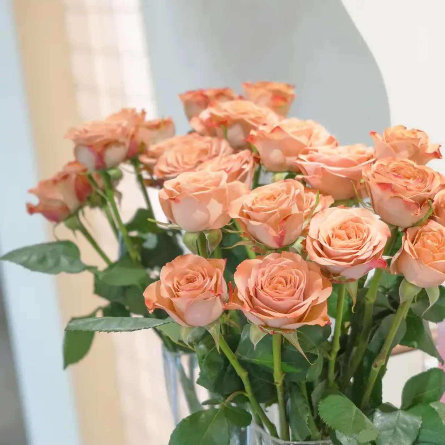 ���� �ʻ����õ��30֦40cm 2-3��ɫ �����л�  39.9Ԫ����