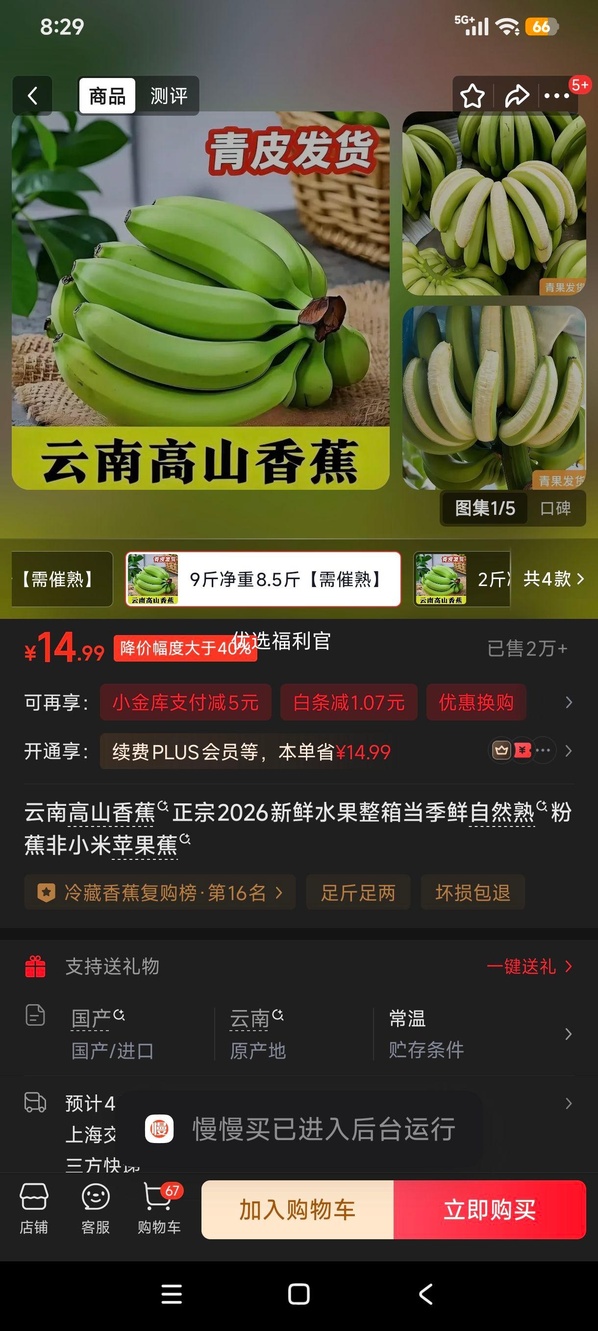 ������ũ���� ��ɽ�㽶 �۽� 9�ﾻ��8.5�� ��������Ȼ��������Ż�֤��