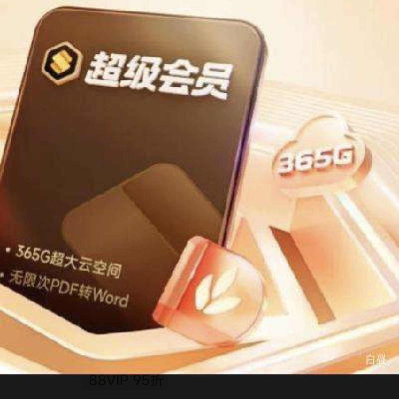 88VIPɽ WPS Ա2꿨+aiԱ 113.66Ԫ+40Ԫ+5.94Ԫ