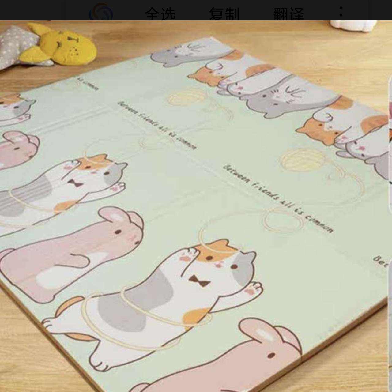 ����˫�����е� 200*180*1.0 25.9Ԫ(����ȯ)