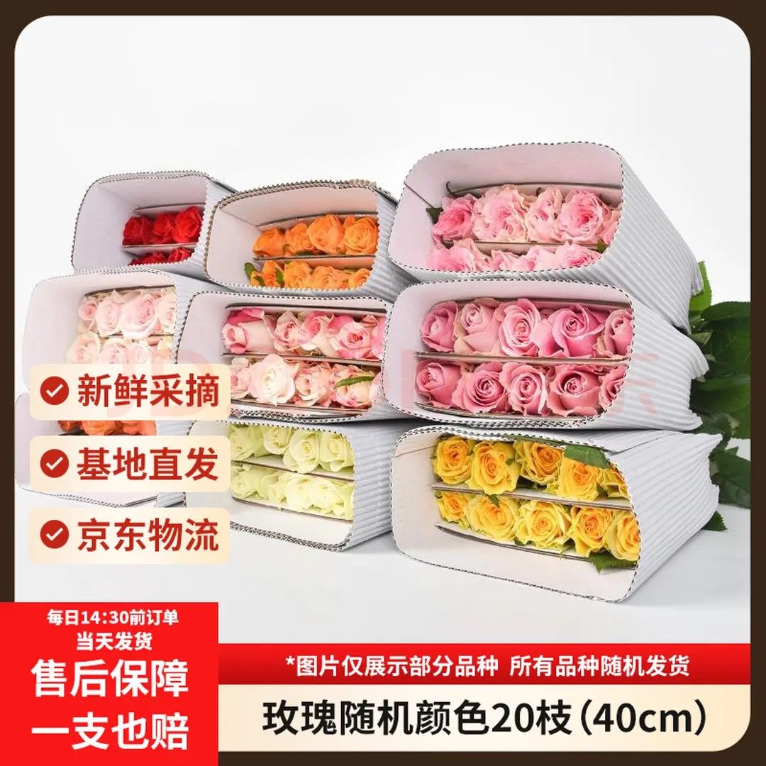 �����ʻ� ���õ��20֦ 40cm �����л���1.245Ԫ/֦��24.9Ԫ/20֦